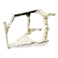 1798448 Headlight Mounting, Left DAF XF106