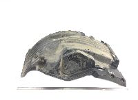 81612300260 Front Axle Wing, Front Right MAN TGL, TGM