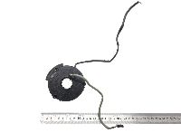 81464306026 Steering Wheel Clock Spring MAN TGS, TGX, TGA, TGL, TGM