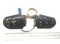 1781447 Steering Wheel Switches, Left + Right  DAF