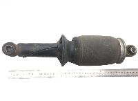 21880100 Shock Absorber, cab suspension, Rear LH=RH VOLVO FM4