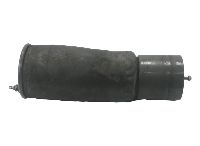 22025568 Air spring, with steel piston, Rear axle  LH=RH VOLVO, RENAULT