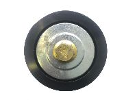 1796309 Belt tensioner pulley for DAF CF 65/85, VDL