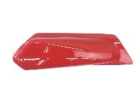 30044465 Tail light cover for VDL