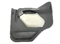 5010225423 Door Trim Panel, Right VOLVO, Renault