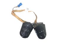 1781447 Steering Wheel Switches, Left + Right  DAF