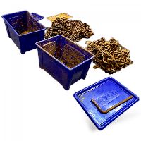 480087 2890873 Snow chain TRYGG 275/70R22,5