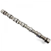 5801465702 Camshaft  F3GFE611 - CURSOR11 for IVECO Stralis